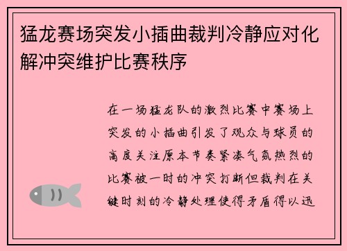猛龙赛场突发小插曲裁判冷静应对化解冲突维护比赛秩序